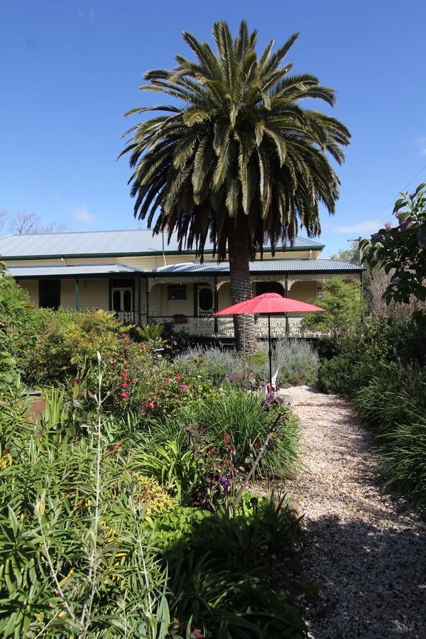 Palm House Bed & Breakfast Maldon Exterior foto